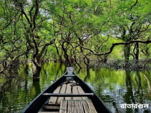 রাতারগুল, সাদাপাথর, বিছনাকান্দি টানে পর্যটক মুখরিত সিলেট