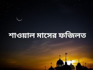শাওয়াল মাসের ফজিলত ও ছয় রোজার গুরুত্ব