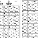 probashi Ballot