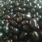 jamer-pustigun-benefits-bangla